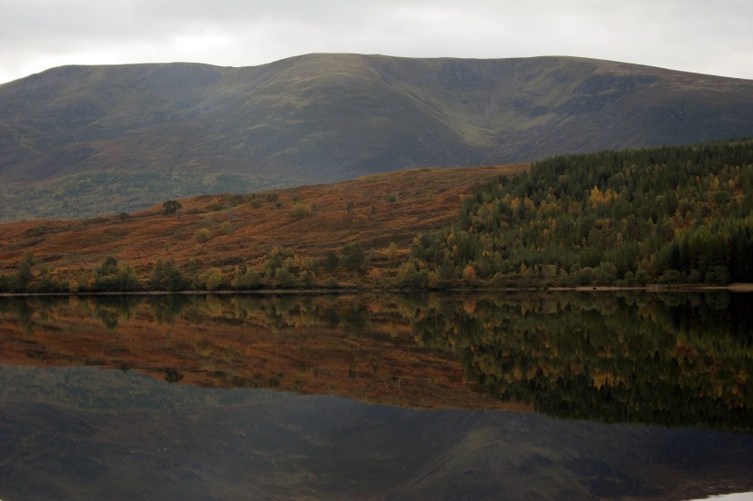 More mill pond loch views