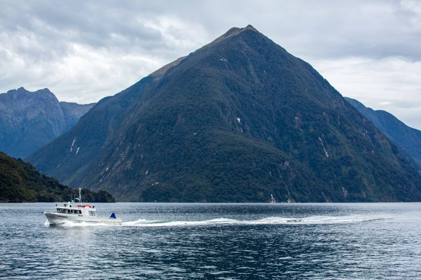 Doubtful Sound Fisherman