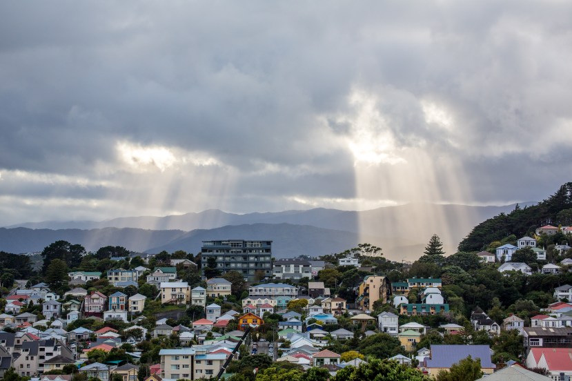 Welly Rays 3